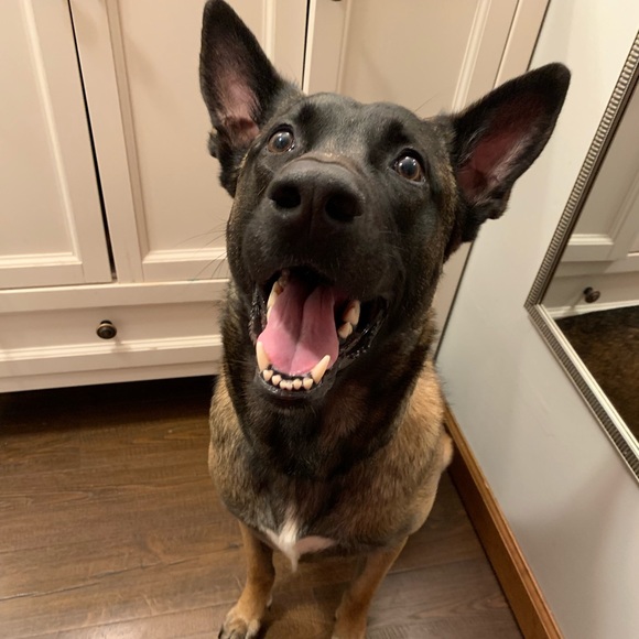 Welcome! 🌿 - Picture 5 of 8